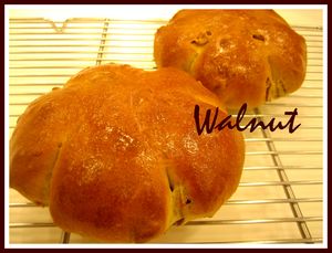 IMG_2906_1.jpg