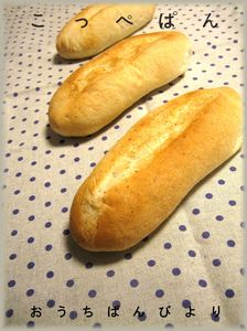 IMG_3003_1.jpg