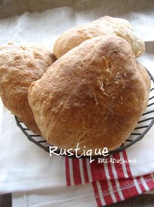 IMG_3470_1.jpg