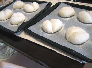 IMG_3677.JPG