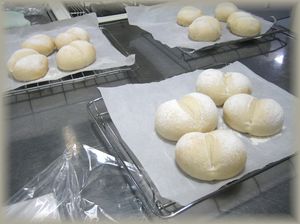 IMG_3450_1.jpg