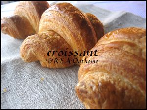 IMG_3690_1.jpg