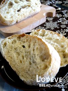 IMG_3816_1.jpg
